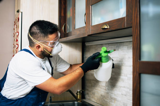 Best Residential Pest Control  in Cera, AL