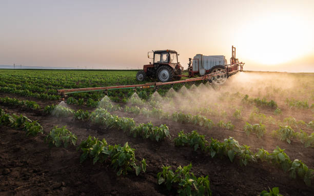 Best Mosquito Control Services  in Cera, AL