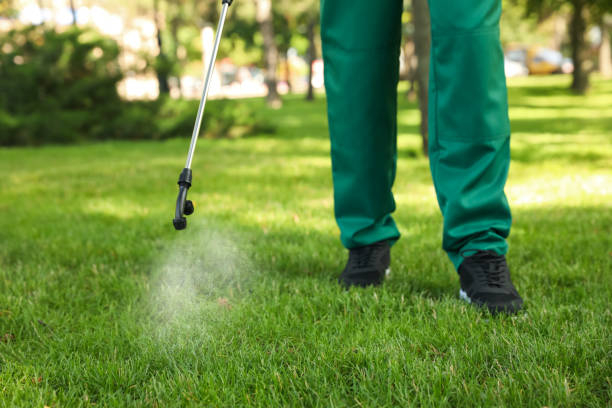 Best Local Pest Control Services  in Cera, AL