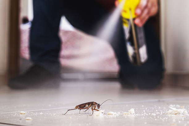 Pest Control Cost in Calera, AL