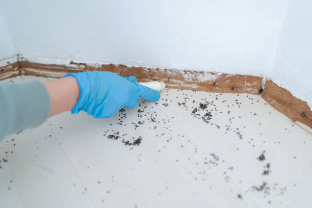 Best Pest Prevention Services  in Cera, AL